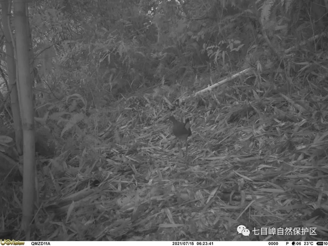 123011912e2c19b2189aab44eaef3f8e.jpg 023.jpg