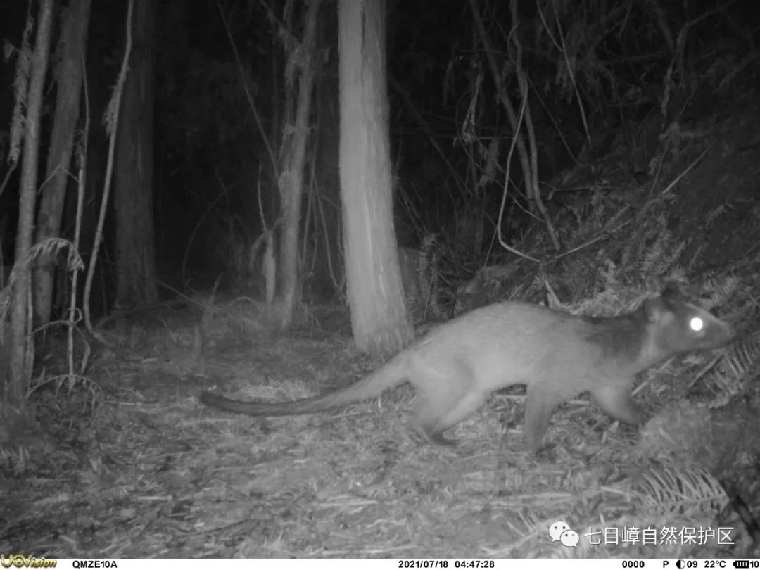 dde66e02886c9426bf4897272b7335f9.jpg 014.jpg