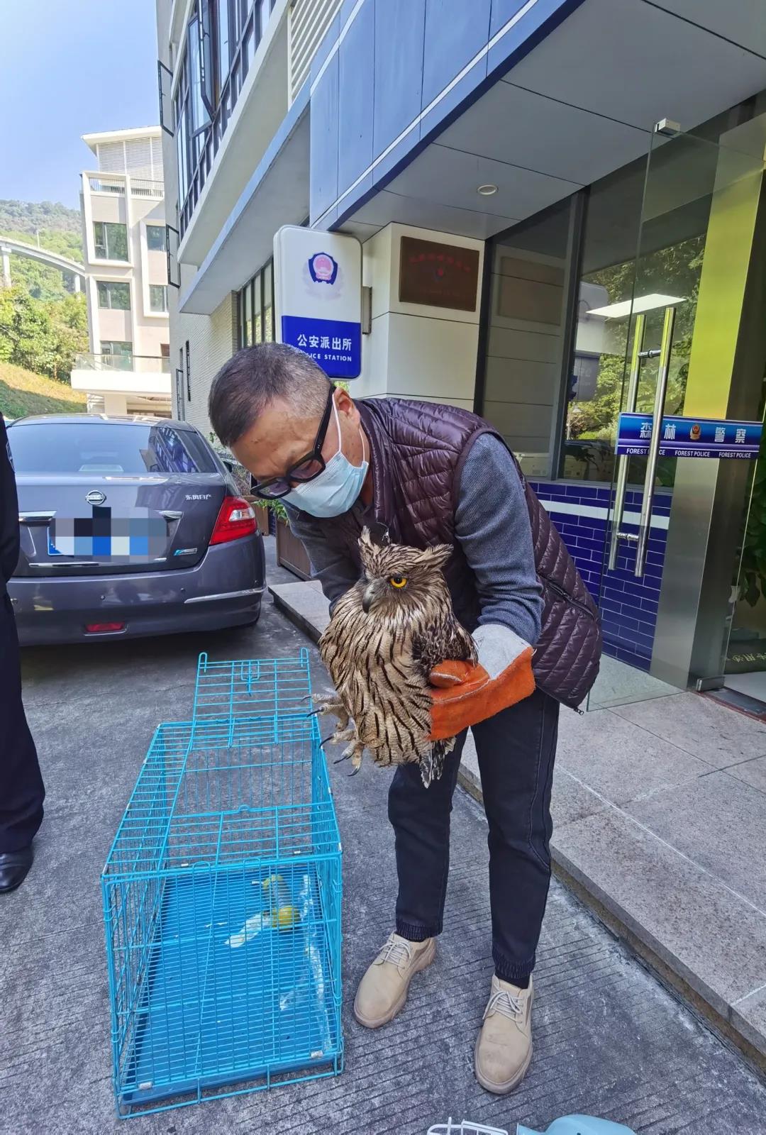 6ef702d5cbfb7b2f39c2e60e07de21a3.jpg 004.jpg