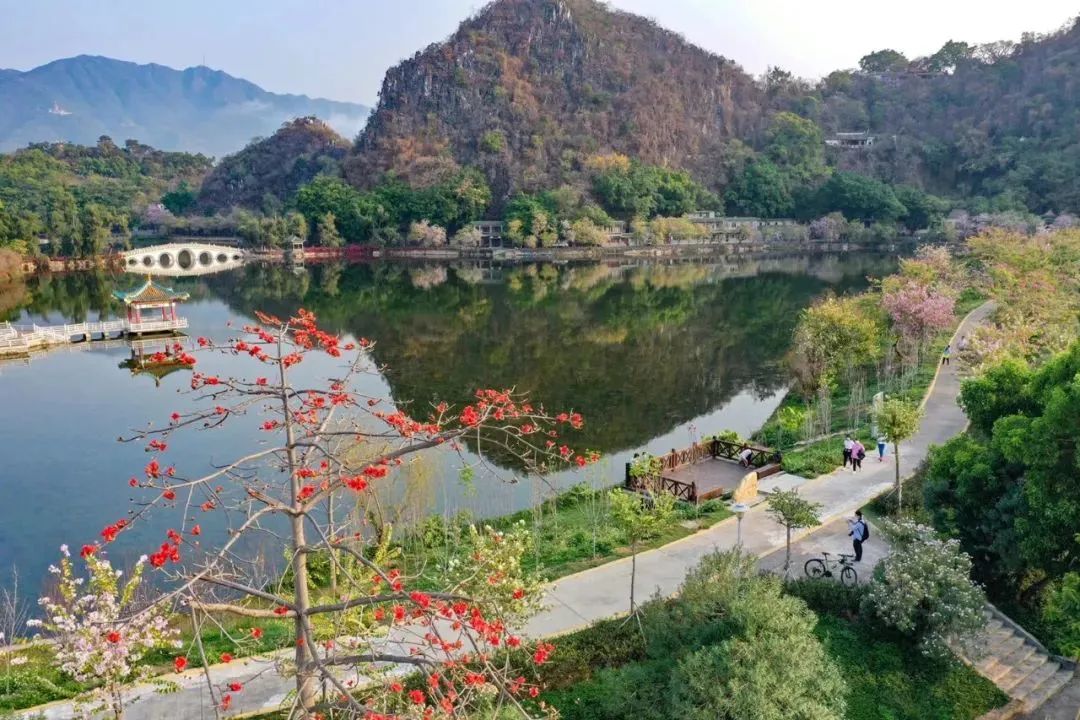 肇慶發布第1號林長令