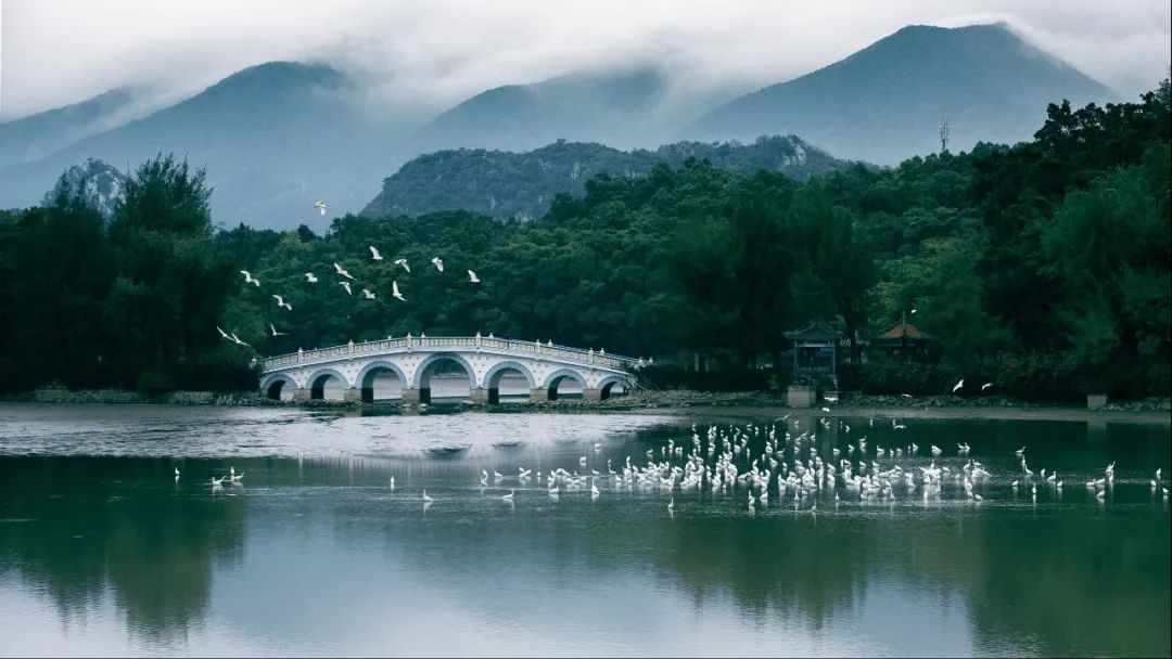 廣東省發布2022年第1號總林長令